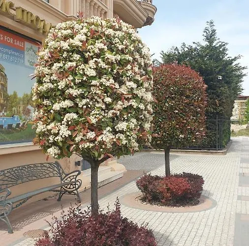 아파트호텔 под наем с208 в афродита гарденс