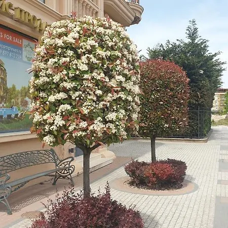 Lejlighedshotel под наем с208 в афродита гарденс